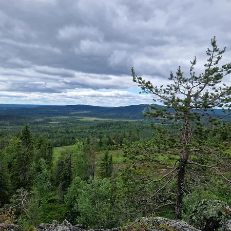 Huoneisto Ainola 1 Iso-Syöte