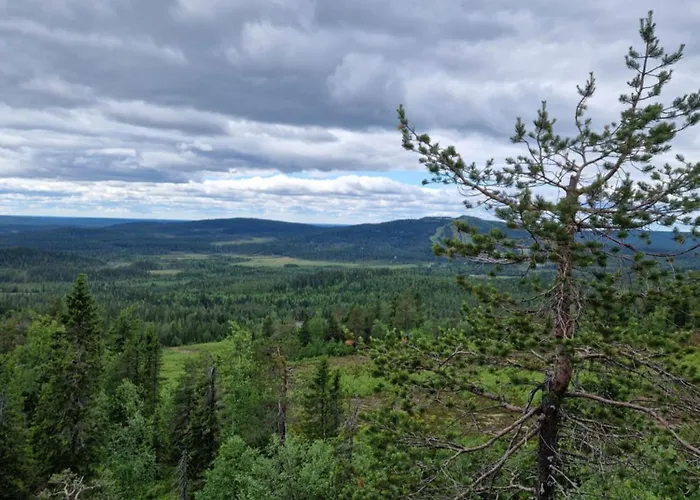 Apartamento Ainola 1 Syöte